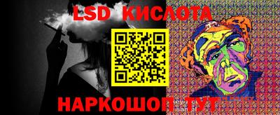 стафф Камышлов