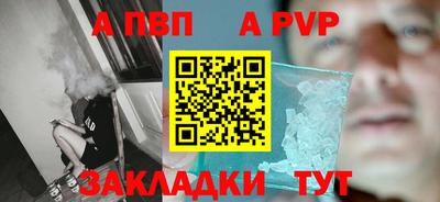 стафф Камышлов