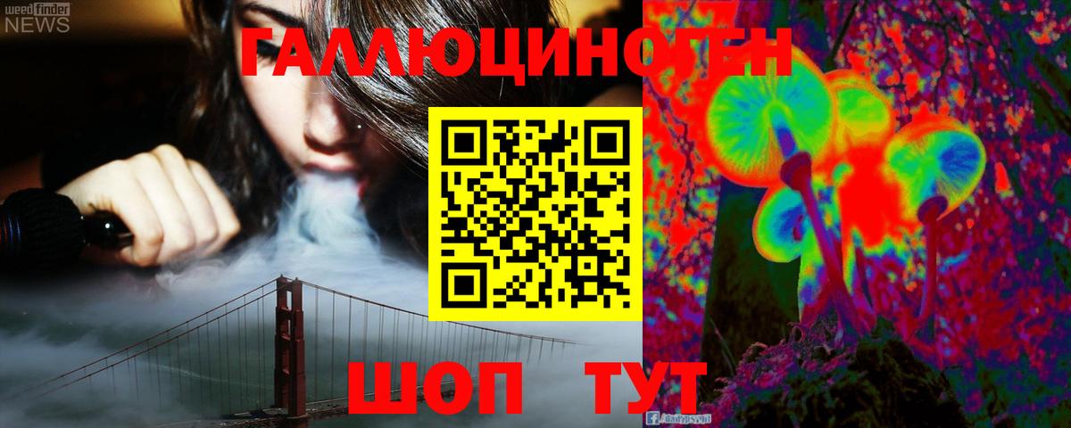 Псилоцибиновые грибы GOLDEN TEACHER  Вход с VPN  Кольчугино 