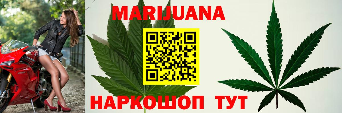 Бошки Шишки сатива Кольчугино